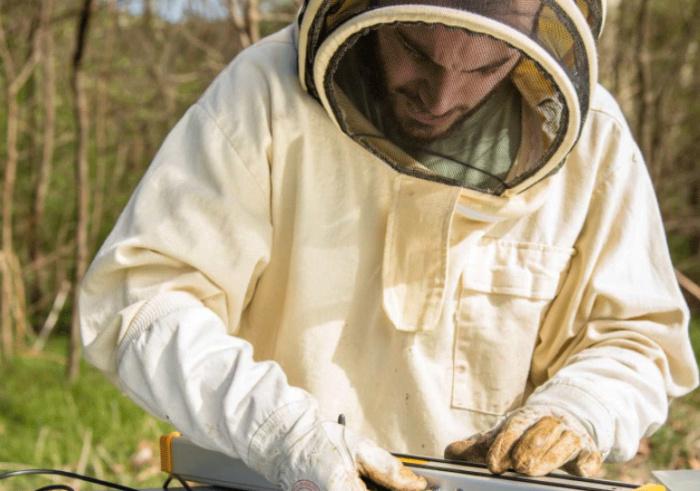 Adotta un'arnia' per salvaguardare le api e la biodiversità