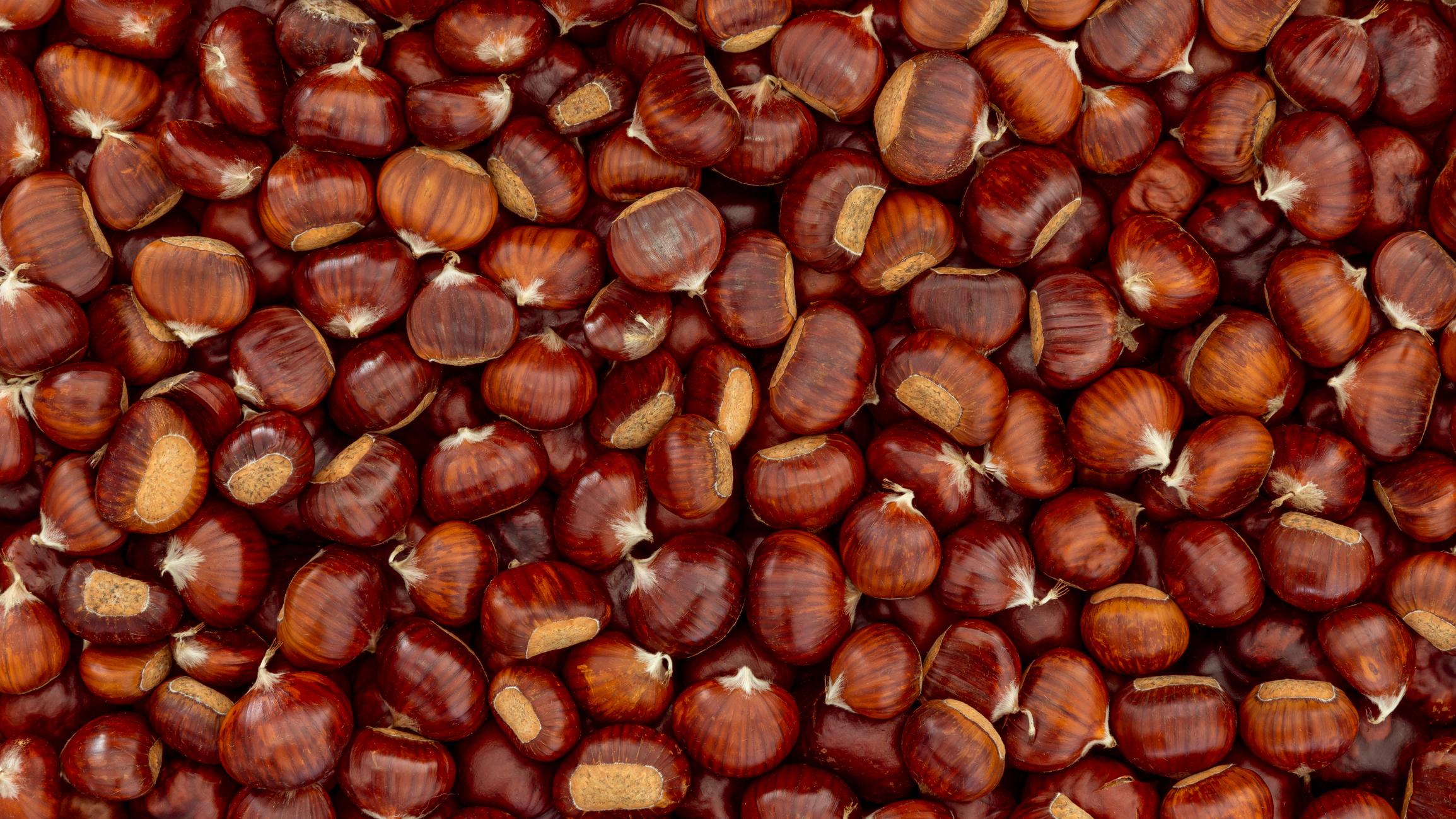 marroni marroni